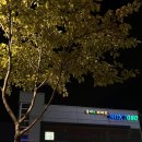 배방 다이소 앞 이미지