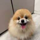 내개로와 이미지