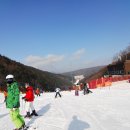 하이원펜션 이미지