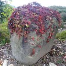 에코팜농장 이미지