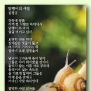 달팽이의 사랑 - 김광규 이미지