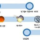 반디투어 이미지