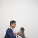 이삭애견 이미지