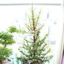 느티나무치과의원 이미지