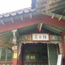 서울 강서구, 고즈넉한 궁중 한식당 | 메이필드호텔 봉래헌 어연 코스 어버이날 기념 후기