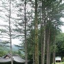 구룡사 삼장탱화 및 복장유물 이미지