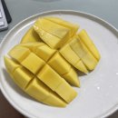 알뜰살뜰포차 티스토리