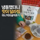 봄날의토끼 | 봄날엔 우리밀 미니 약과 내돈내산 후기 (냉동 먹는 법까지)