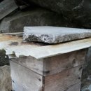 배바위농원 이미지