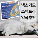인천 약국 넥스가드 스펙트라 저렴한 곳 xs,s,m 강아지 심장사상충약 내돈내산 후기