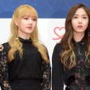 신비체육관 이미지