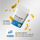 화장품토탈뷰티플렉스영천 | 관절은 부드럽게 뼈는 튼튼하게!! 관절, 연골, 뼈까지 챙기는 조이스텝, 루틴