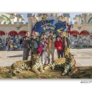 오-월드 이미지