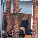 &#39;휠체어 퇴원&#39; 김건희, 자택서 &#39;편안한 휴식중&#39; 이미지