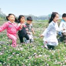 알리안츠생명보험(주)