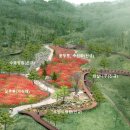 [대전시] 「대전 치유의 숲」꽃 정원 조성한다 이미지