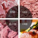 신선한포크 이미지