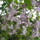 새한교회(내) 이미지