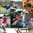 안성풍산개농원 | ★우수후기★ 가을빛 여울진 안성마춤 안성나들이 [ 서일농원 * 풍산개마을 ]