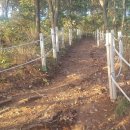 대부낙조 이미지