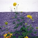 키다리소아청소년과의원 이미지