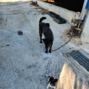 연동농장 이미지