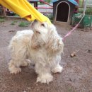 프랑스가든펜션 이미지