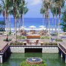 트리사라 이미지