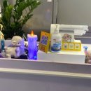 순순(soonsoon) 이미지