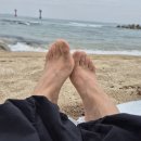도로점용공사(하수관)