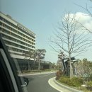 세븐일레븐 김해율하위너스점 | 김해 장유 롯데호텔앤리조트 패밀리 더블룸 1박 2일 후기-1