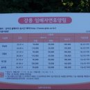안인진임해자연휴양림 이미지