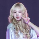 리즈헤어 네이버블로그