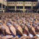 트럼프가 진짜로 엘살바도르 감옥에 보내버림 ㅋㅋㅋㅋㅋ 이미지