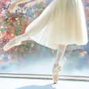 유니버설발레단 <호두까기인형 갈라> | 2025년 조각 모음: 발레 생활 편