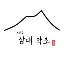 제주삼대약초