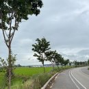 영민목장 이미지