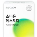 디온약국 | 임신 준비 중 먹은 영양제 추천 및 후기(활성엽산, 비타민 D 등)