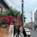 충주 성남동 골드얼얼이꼬꼬발 &amp; 교현동 안스게장 후기