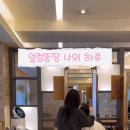 도영헤어살롱