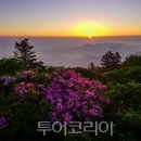 (주)청명투어