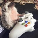 (주)캔디코드 | [범계] '하피스 캔디샵' 2인 후기 : 캔디샵에서는 캔디만 만드시오 🍬