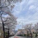 성암분식