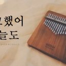 오늘도 칼림바 이미지