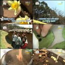 호박스포츠