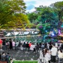 함안 낙화놀이 이미지