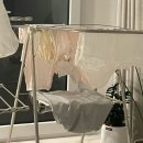 제왕세탁 이미지