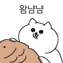 운정고양이호텔 이미지