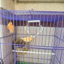 오포원사우나 이미지