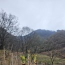 산내들농장 이미지